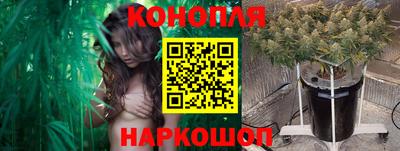 альфа пвп Волгодонск