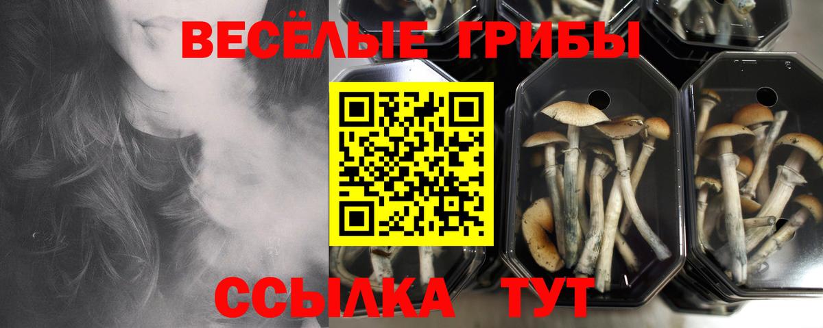 Псилоцибиновые грибы ЛСД Бугульма